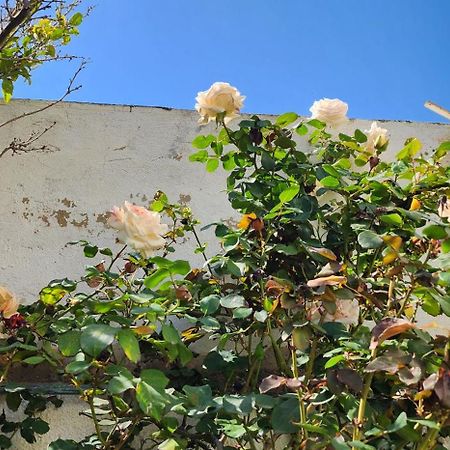 Duplex Bien Equipe Securise Avec Jardin Et Veranda Ла Марса Екстериор снимка