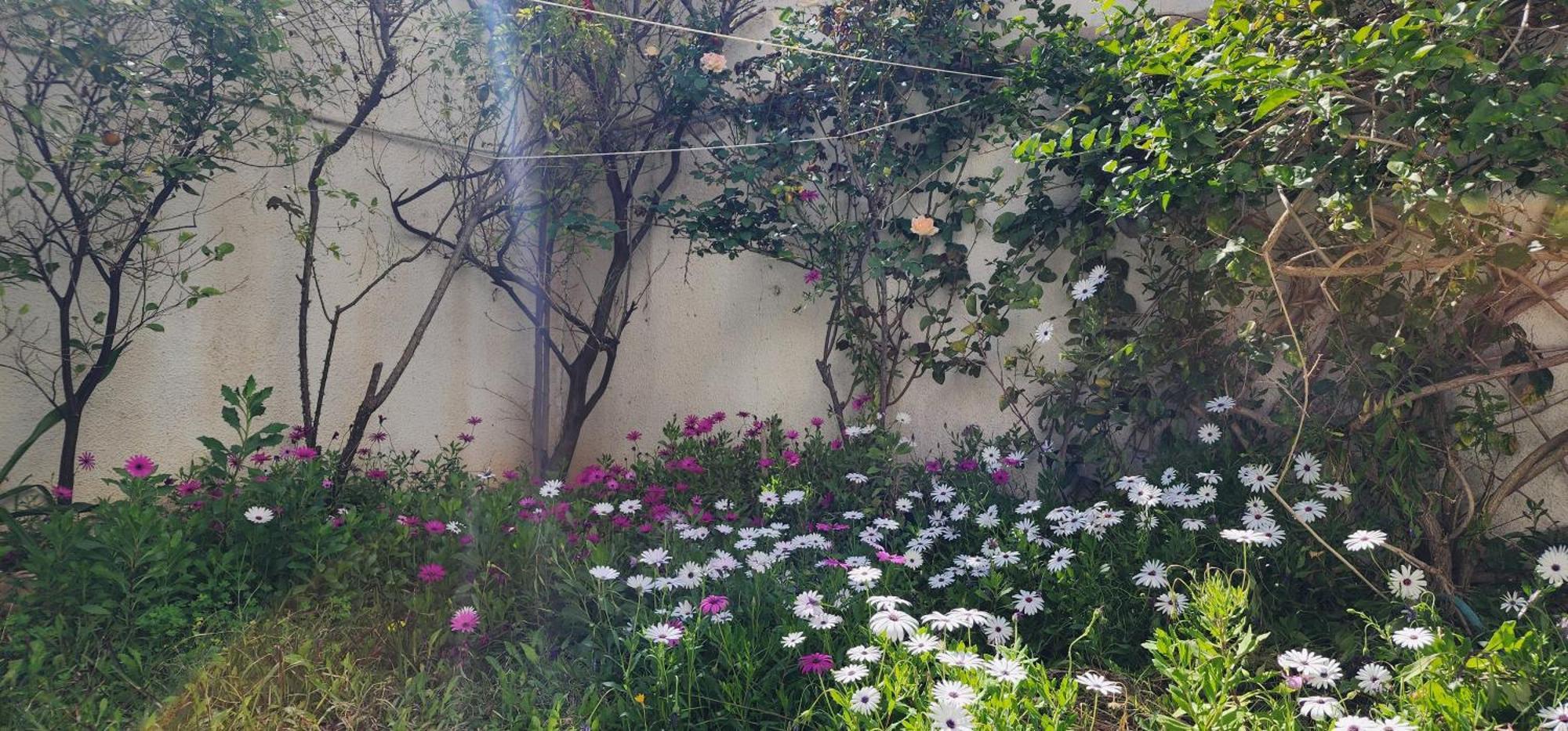 Duplex Bien Equipe Securise Avec Jardin Et Veranda Ла Марса Екстериор снимка