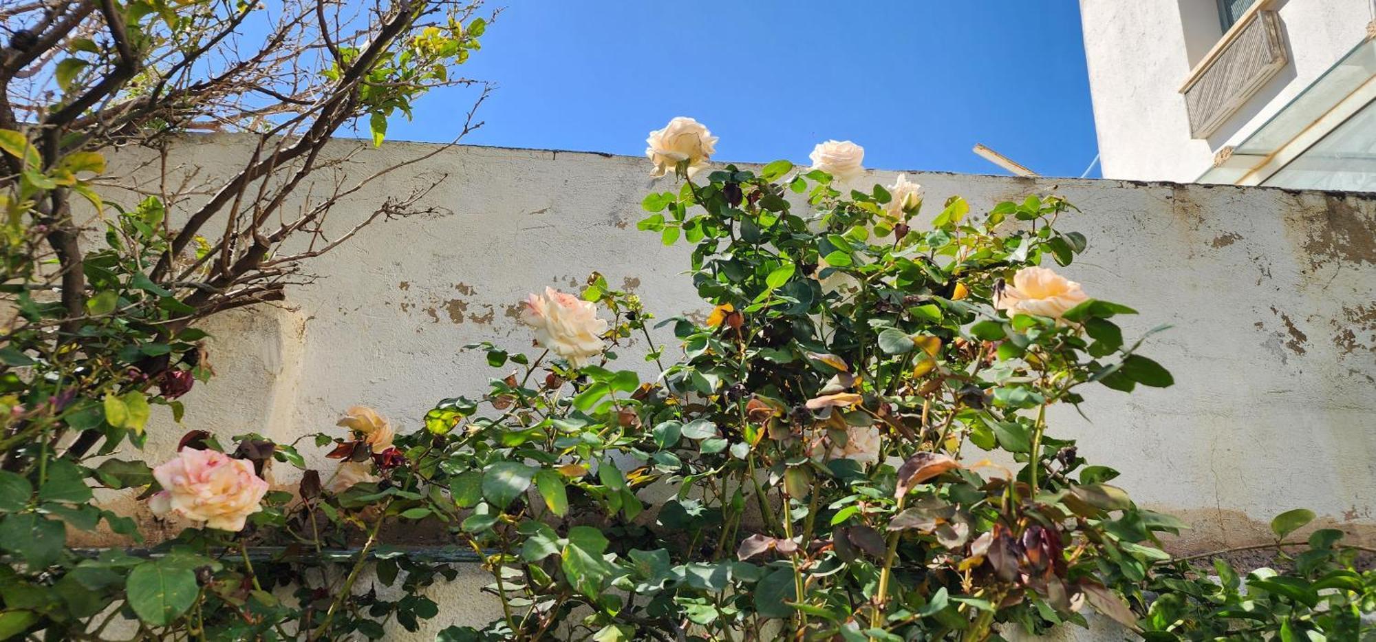 Duplex Bien Equipe Securise Avec Jardin Et Veranda Ла Марса Екстериор снимка