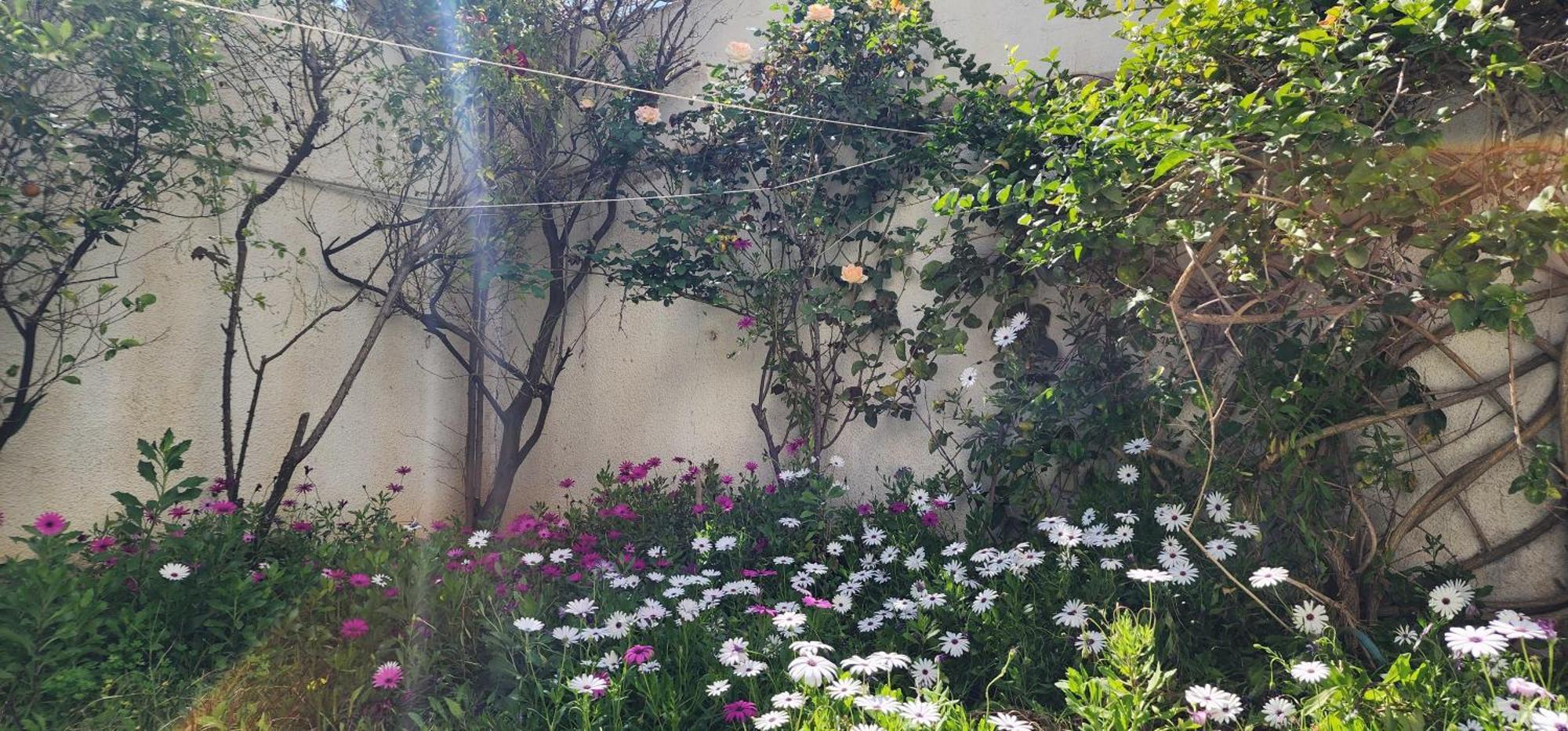 Duplex Bien Equipe Securise Avec Jardin Et Veranda Ла Марса Екстериор снимка