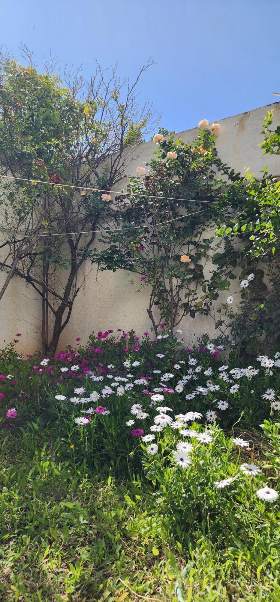 Duplex Bien Equipe Securise Avec Jardin Et Veranda Ла Марса Екстериор снимка